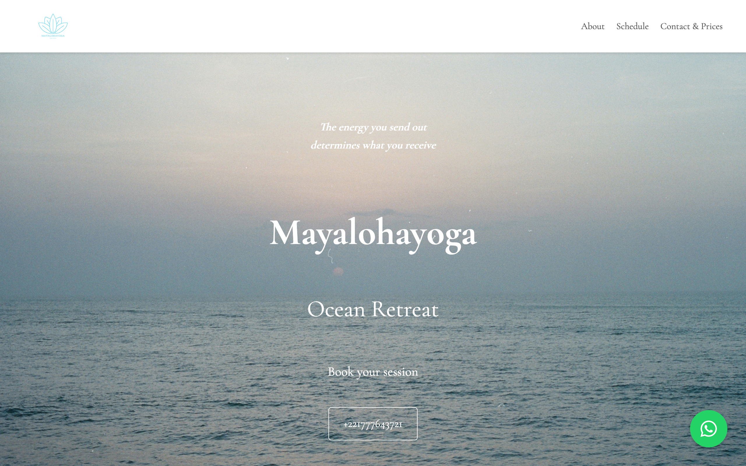 Project Preview